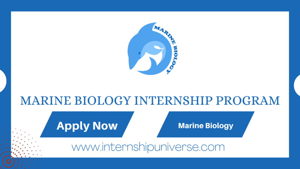 Marine Biology Internships In 2025 - Internships Universe